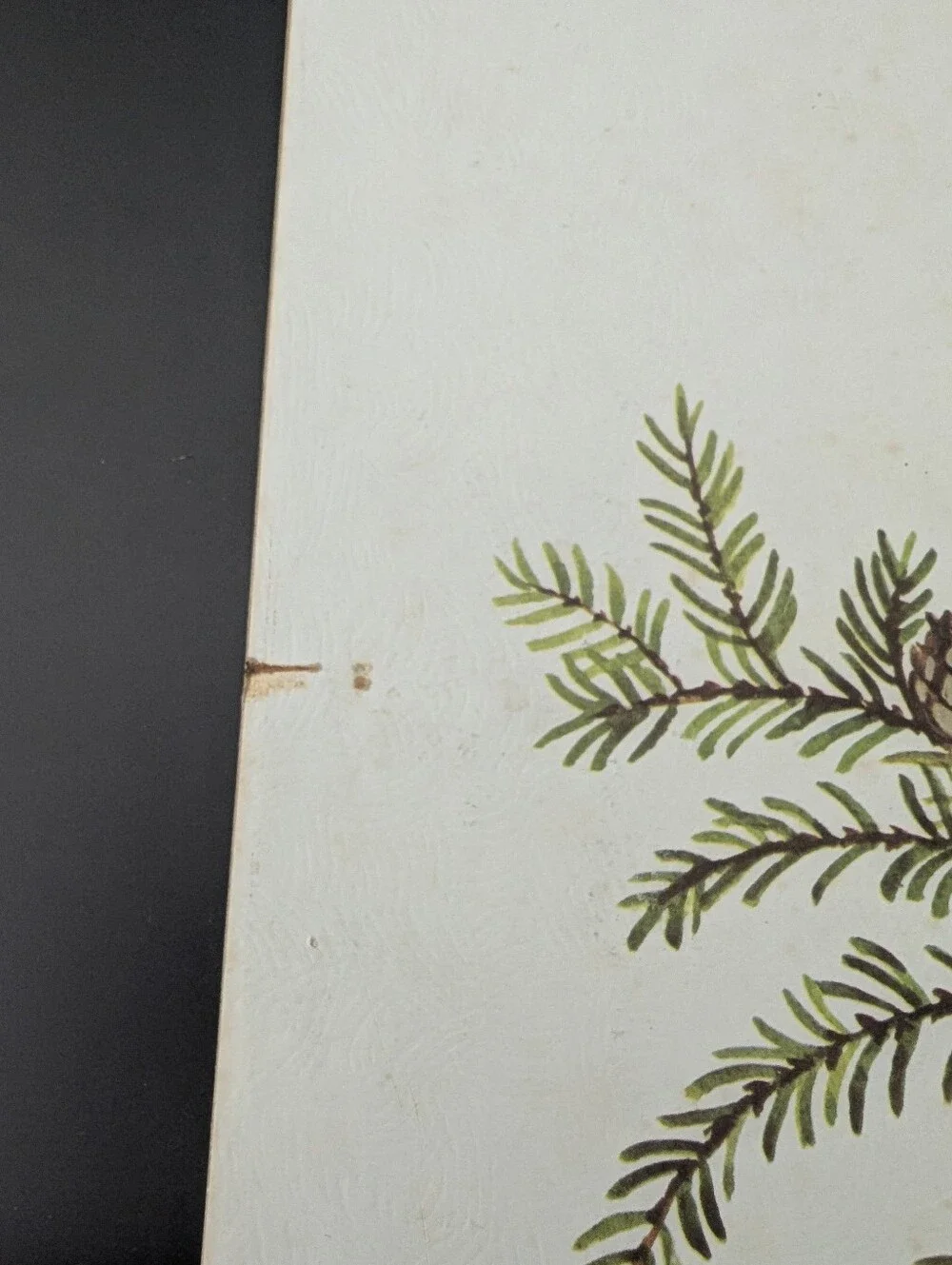 Vintage Leland Brewsaugh Barred Owl print
